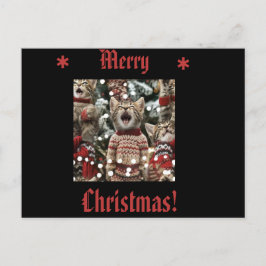 Kittens in Sweaters singing O'Julgran 3 Helg Vykort