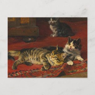 Kittens Julius Adam the Younger Vykort