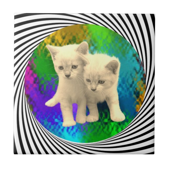 KITTENS KAKELPLATTA (Framsidan)