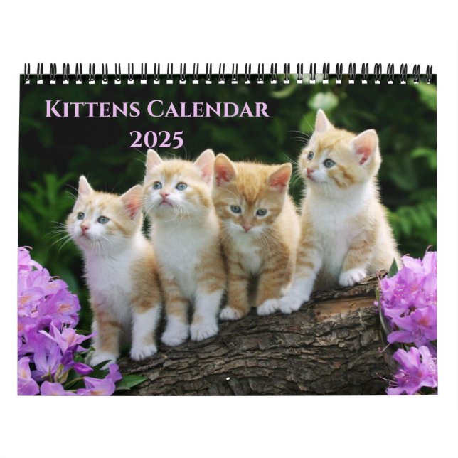 Kittens kalender (Omslag)