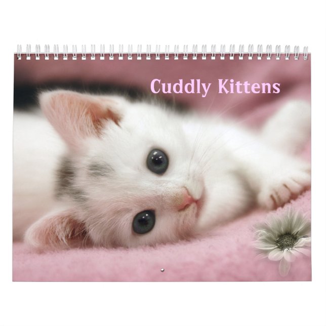 Kittens kalender (Omslag)