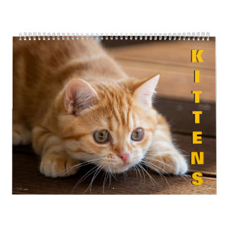 Kittens kalender