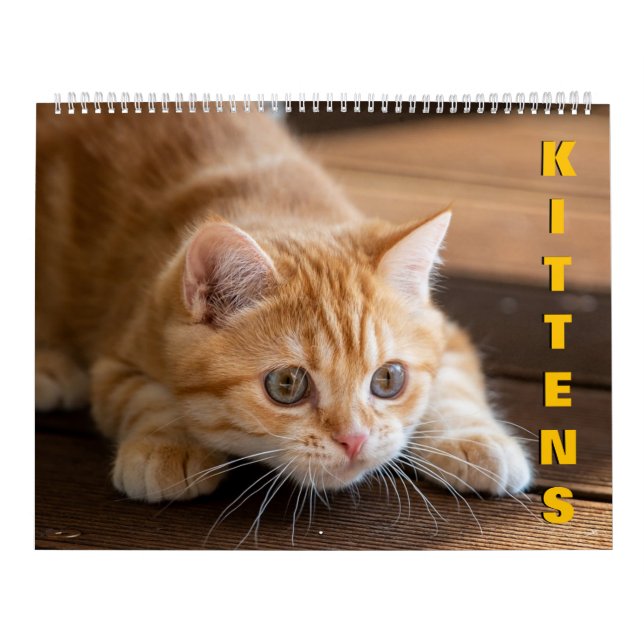 Kittens kalender (Omslag)