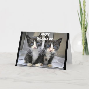 KITTENS KAN INTE TRO ATT DU ÄR *80* BIRTIDKORT KORT