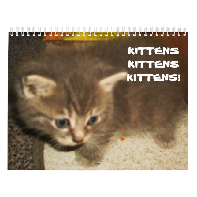 KITTENS, KITTENS, KITTENS! KALENDER (Omslag)