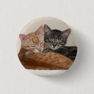Kittens-knapp/bricka för cute Tabby Knapp