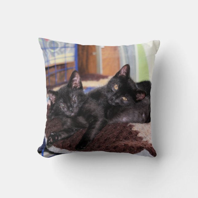 Kittens Kudde (Framsida)