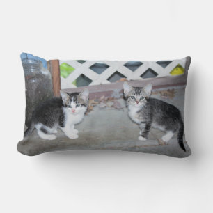 Kittens Lumbarkudde