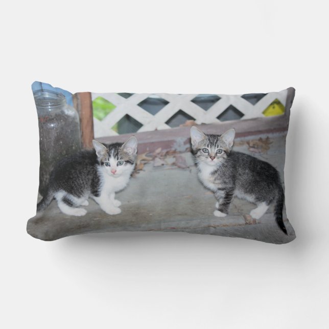 Kittens Lumbarkudde (Framsida)