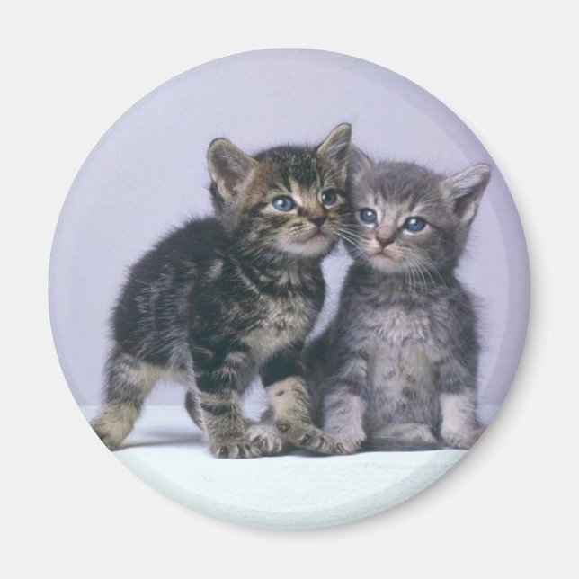 kittens magnet (Framsidan)