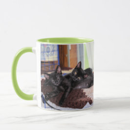 Kittens Mugg