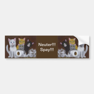 Kittens Neuter Spay Bildekal