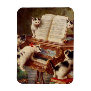 Kittens och Piano Magnet