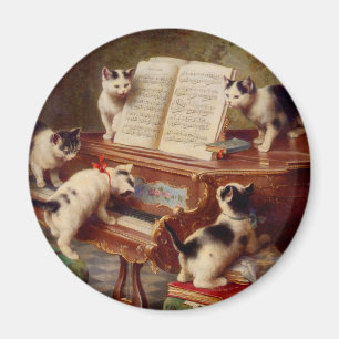 Kittens och Piano Magnet