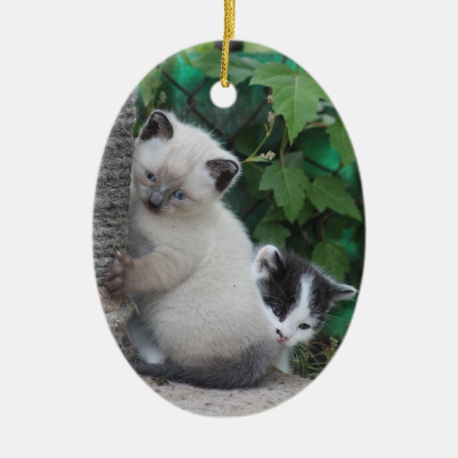 Kittens ornament (Framsidan)