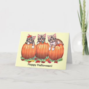 Kittens på Pumpkins för Halloween Kort