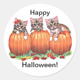 Kittens på Pumpkins för Halloween Stickers Runt Klistermärke