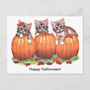 Kittens på Pumpkins för Halloween Vykort