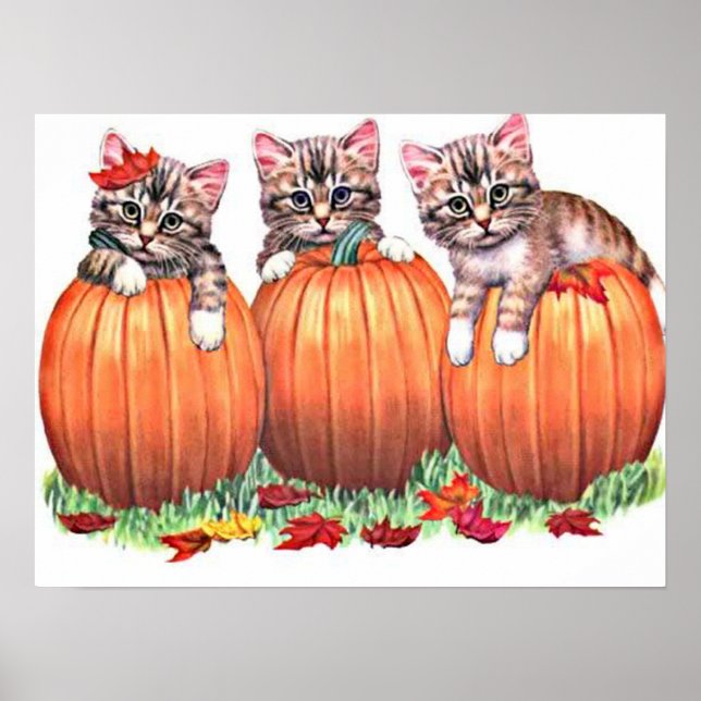 Kittens på Pumpkins Skriv ut Poster (Framsidan)