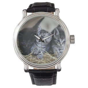 Kittens, Pet, Kattdjur Armbandsur