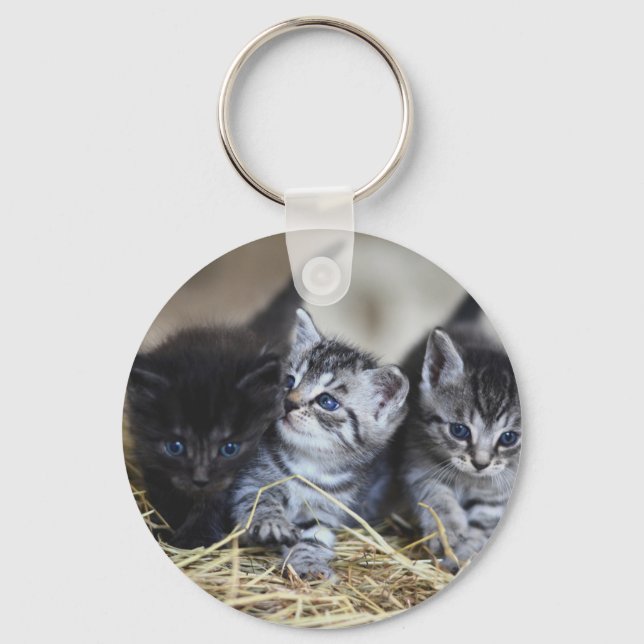 Kittens, Pet, Kattdjur Nyckelring (Framsida)