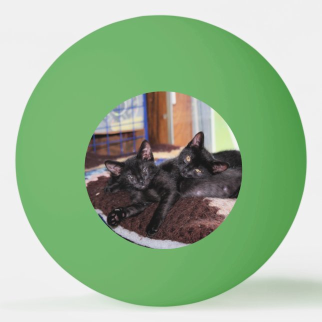 Kittens Pingisboll (Framsidan)