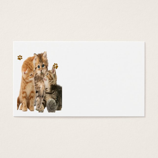 Kittens produkter vid spel visitkort (Framsidan)