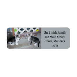 Kittens Returadress Etikett