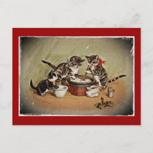 Kittens Skapar Pudding Vykort