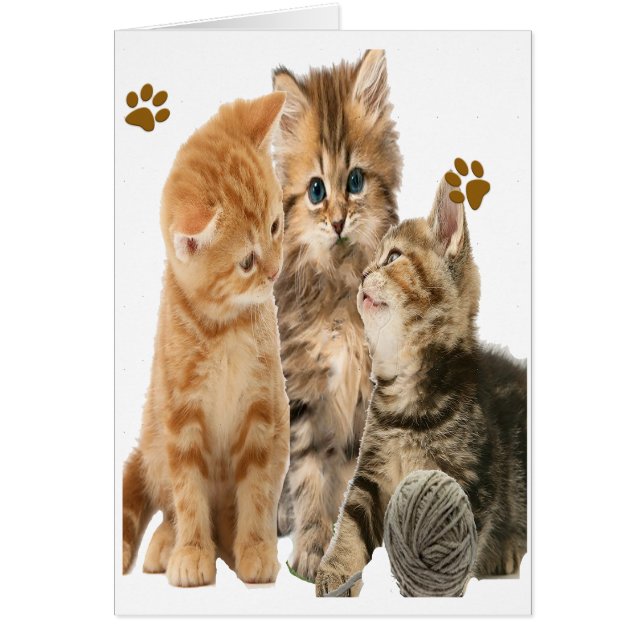 Kittens som spelar t-shirts hälsningskort (Framsidan)