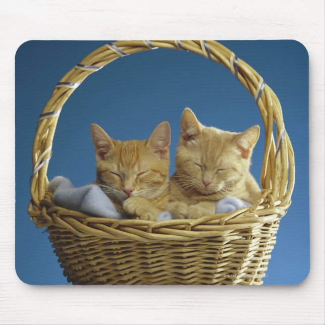 Kittens sover i basket musmatta (Framsidan)