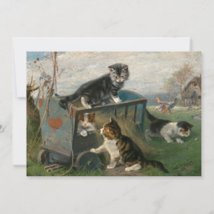 Kittens Spela Julius Adam the Younger