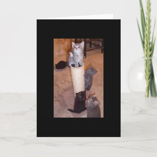 Kittens Spela Kort (Framsida)