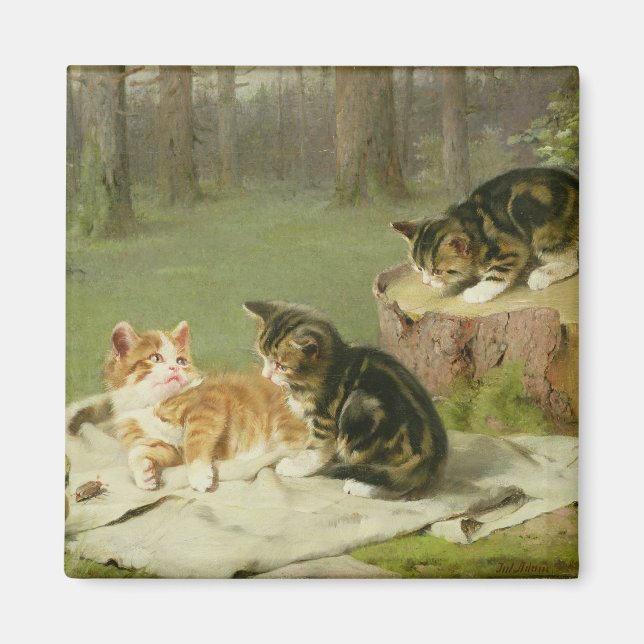 Kittens Spela Magnet (Framsidan)