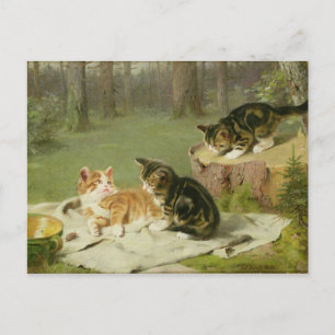 Kittens Spela Vykort