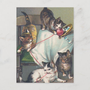 "Kittens spelar med nitting Wool" vykort