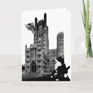 Kittens spelar på Ely Cathedral Kort
