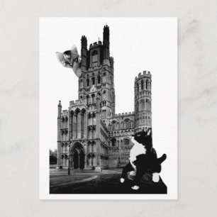 Kittens spelar på Ely Cathedral Vykort