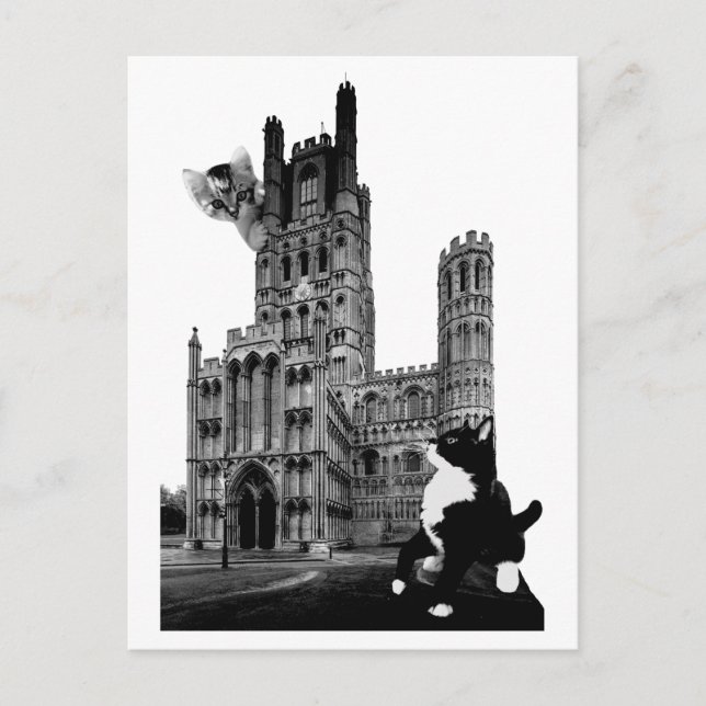 Kittens spelar på Ely Cathedral Vykort (Framsida)
