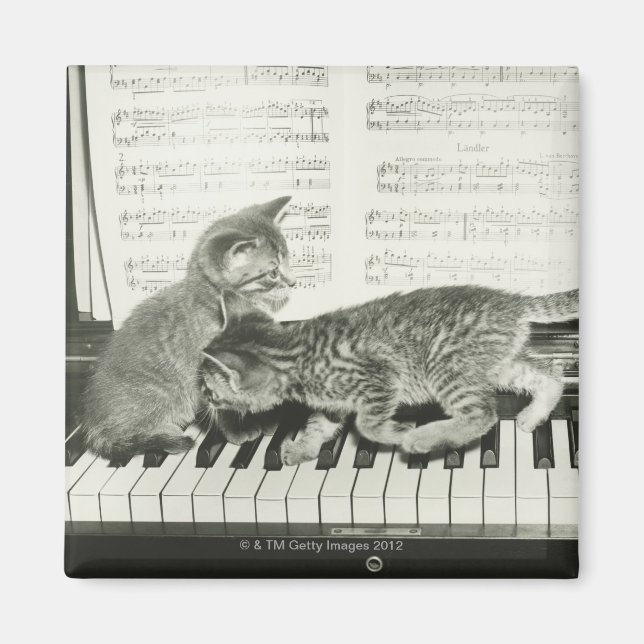 Kittens spelar Piano Magnet (Framsidan)