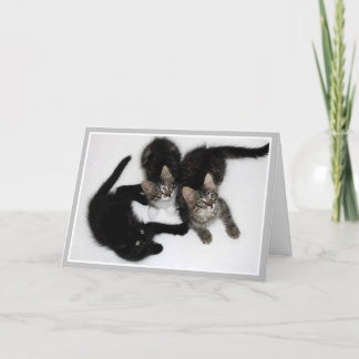 Kittens tänker på ditt kort