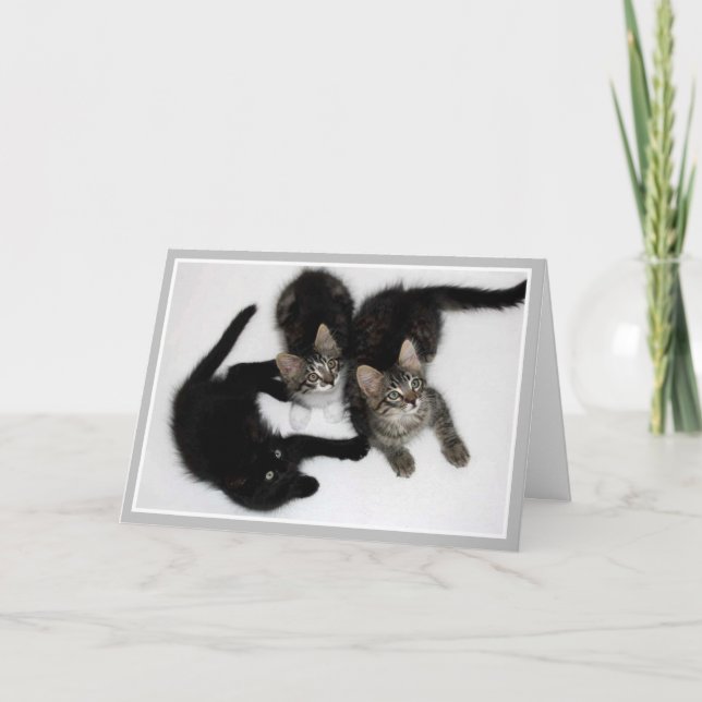 Kittens tänker på ditt kort (Framsida)