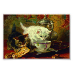 Kittens Tea Party Fototryck