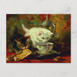 Kittens Tea Party Vykort