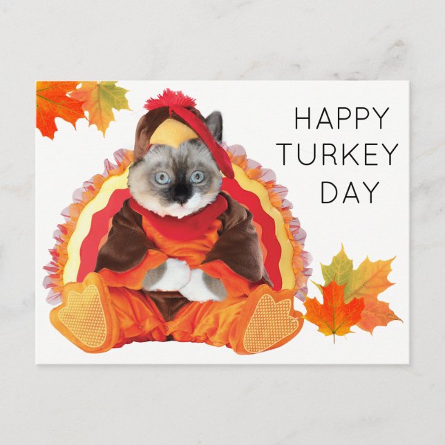Kittens Thanksgiving Turkiet Day Postcard Helg Vykort (Framsida)