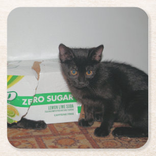 Kittens Underlägg Papper Kvadrat