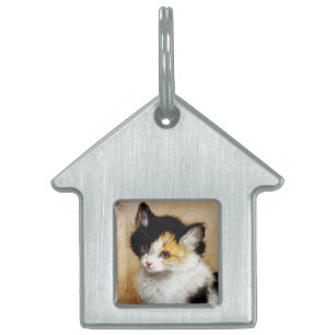 KITTENS Uppvaknande Namnbricka Husdjur
