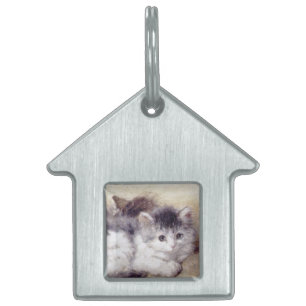 KITTENS Uppvaknande Namnbricka Husdjur