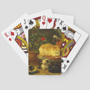 Kittens vid Play Casinokort