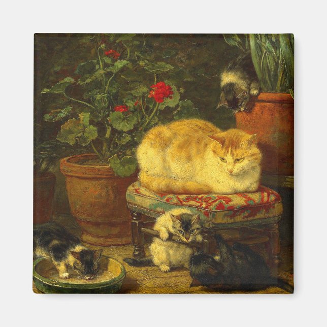 Kittens vid Play Magnet (Framsidan)